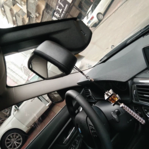 OEM Style Dashcam (BMW)