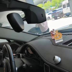 OEM Style Dashcam (Porsche)