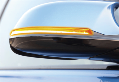 Dynamic Sequential Signal Side Mirror LED (BMW)