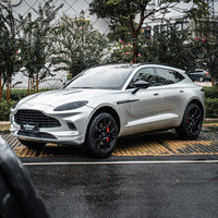 Super Silver Sage (VCH411-S) Vinyl Wrap